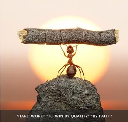 南宫·NG(中国)电子游戏官网